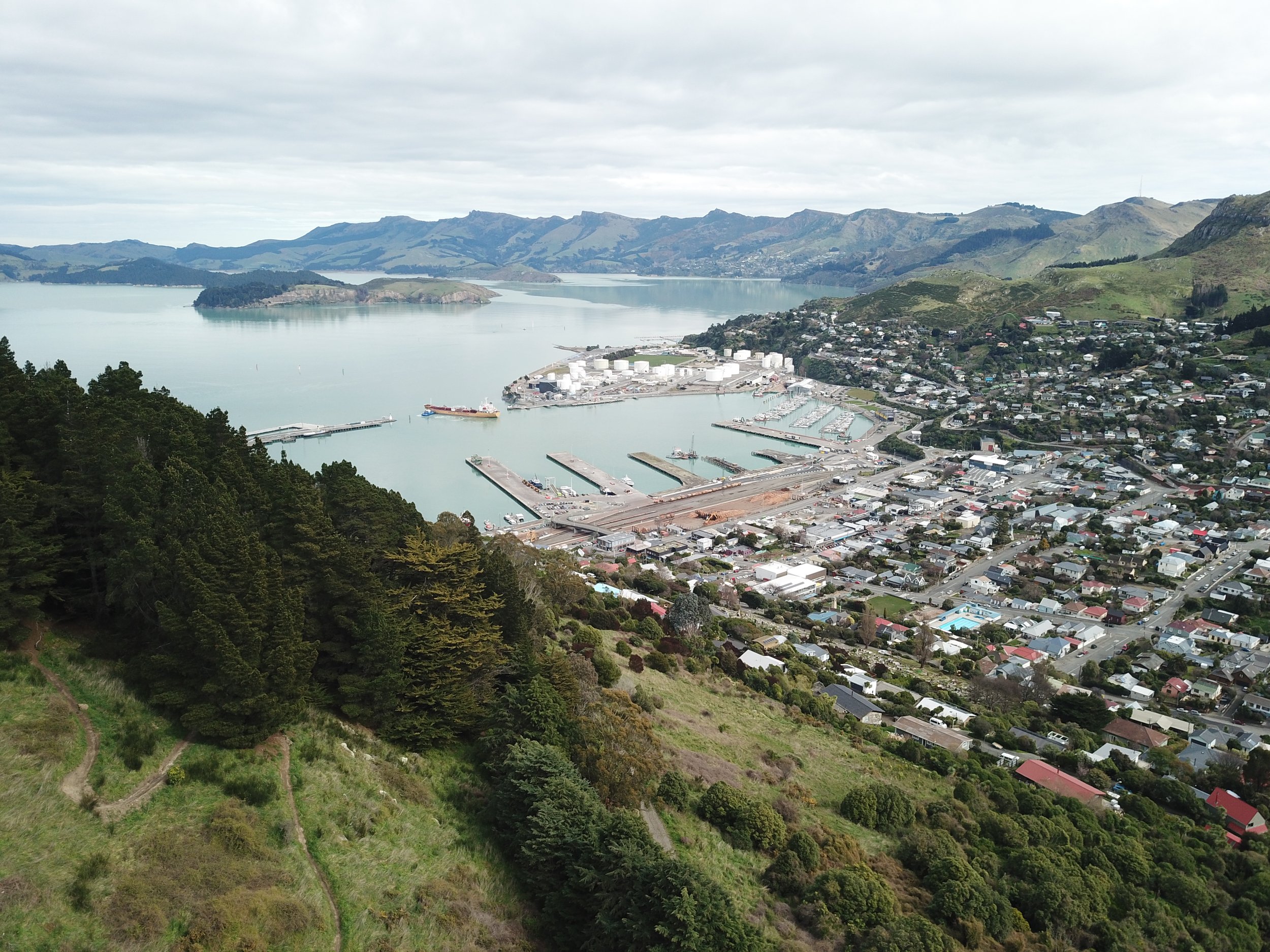 Lyttelton Port Company – Port Saddle ecological restoration – World